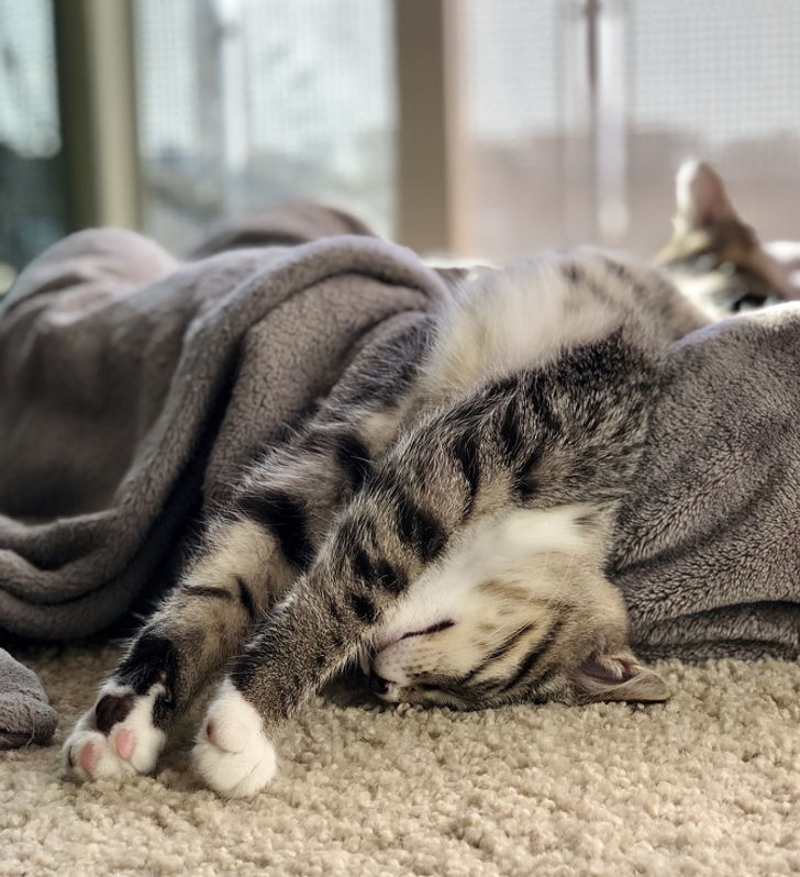 9f08615af8aac2df126f2da3a0