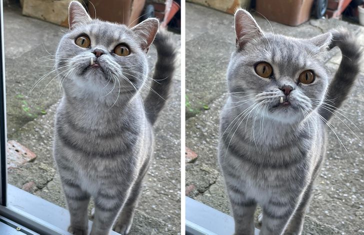 9f0ac6539fa4f9a9bbde4f95de