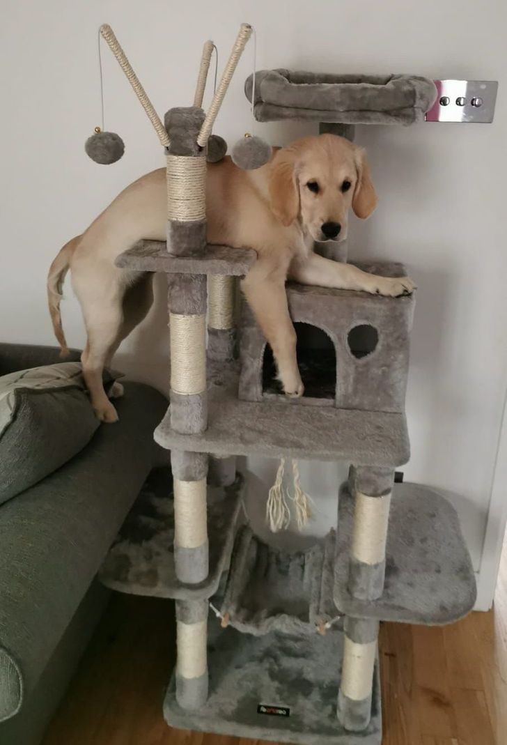 9f0bc05b64bc0056fc120ffe66 9f0bc05b64bc0056fc120ffe66