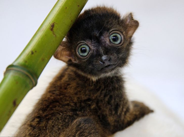 9f114b5eefae14b18c6d7ee863