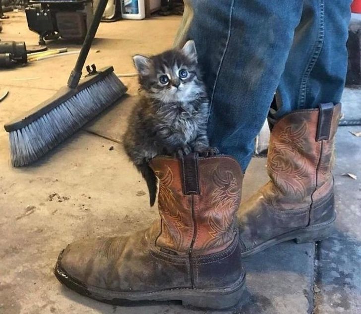 9f11dc5829bc5adba0279239d6