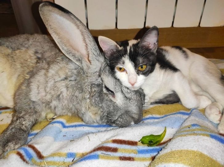 9f129e5783afce78ac95020aed