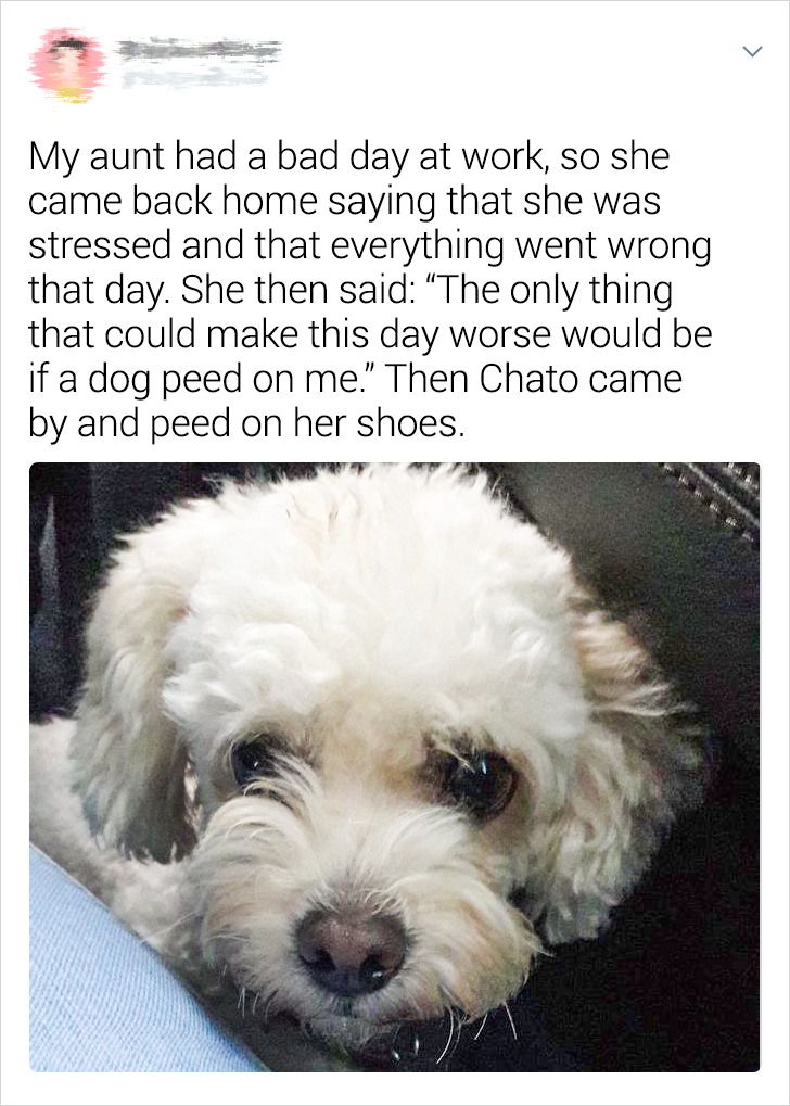 9f13b659df8daf5eb52740d4b2