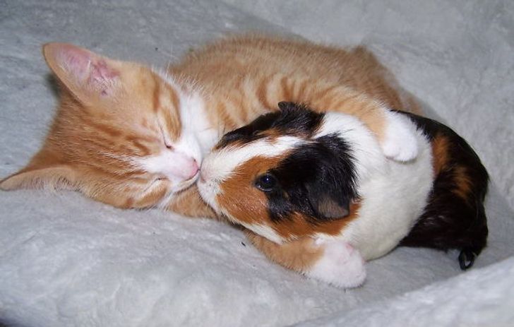 9f167458098937eeeb5e54c2d6