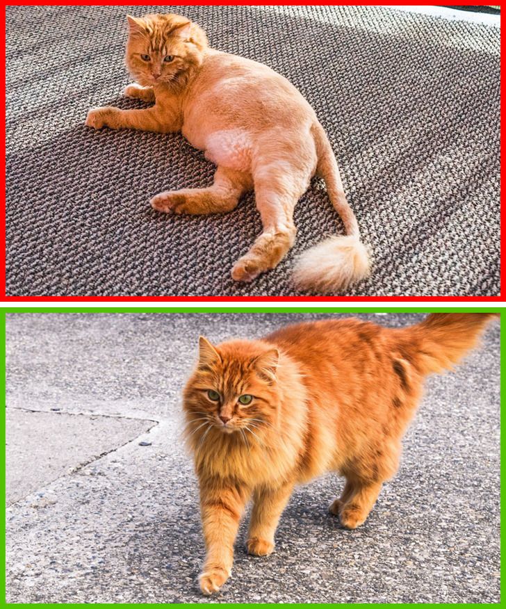 9f30ba52e2b7adeb2c43285da9