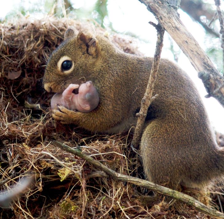 9f33af58329fbb02549ed16a47