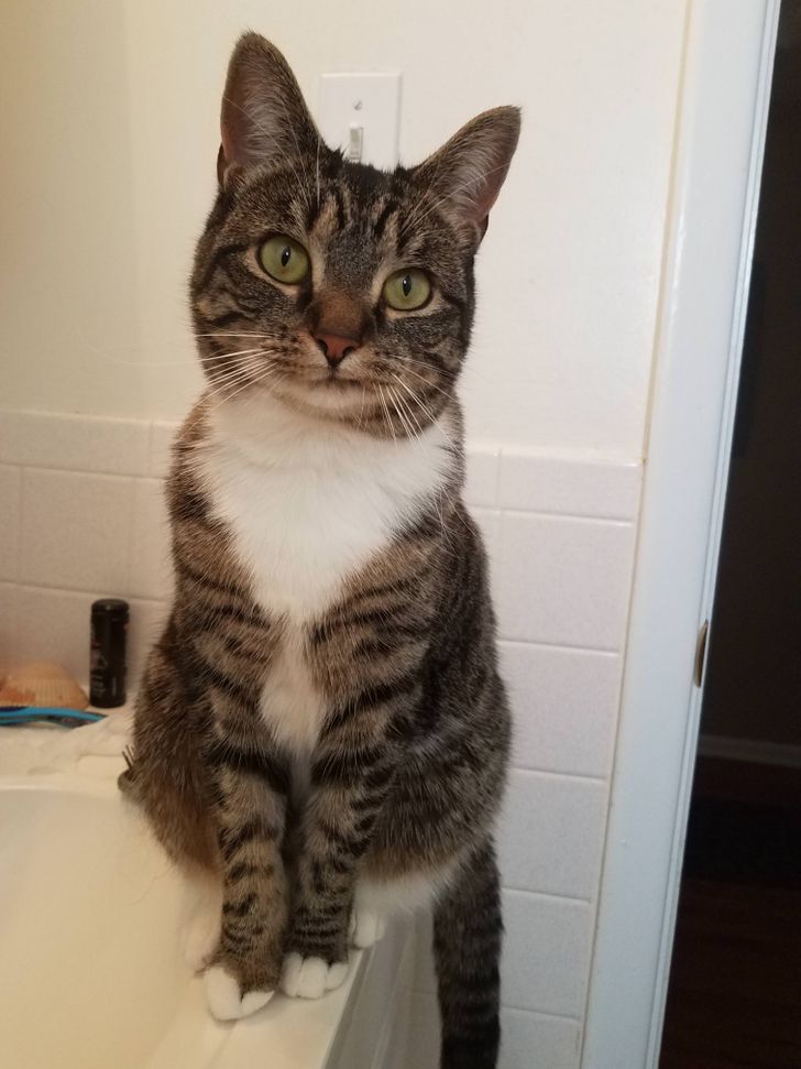 9f3c3f5bc78fc86b7a37f8c293