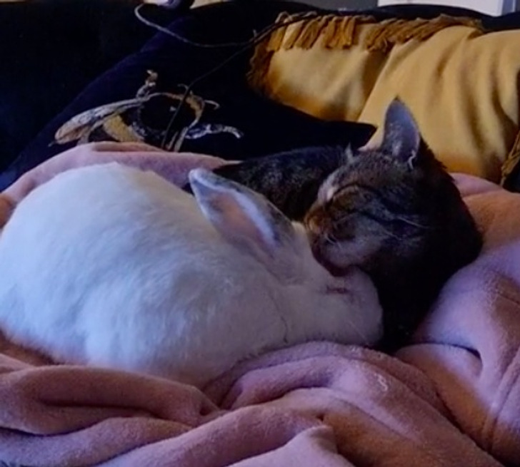 9f419051df9e68d72a9e855ffd 9f419051df9e68d72a9e855ffd