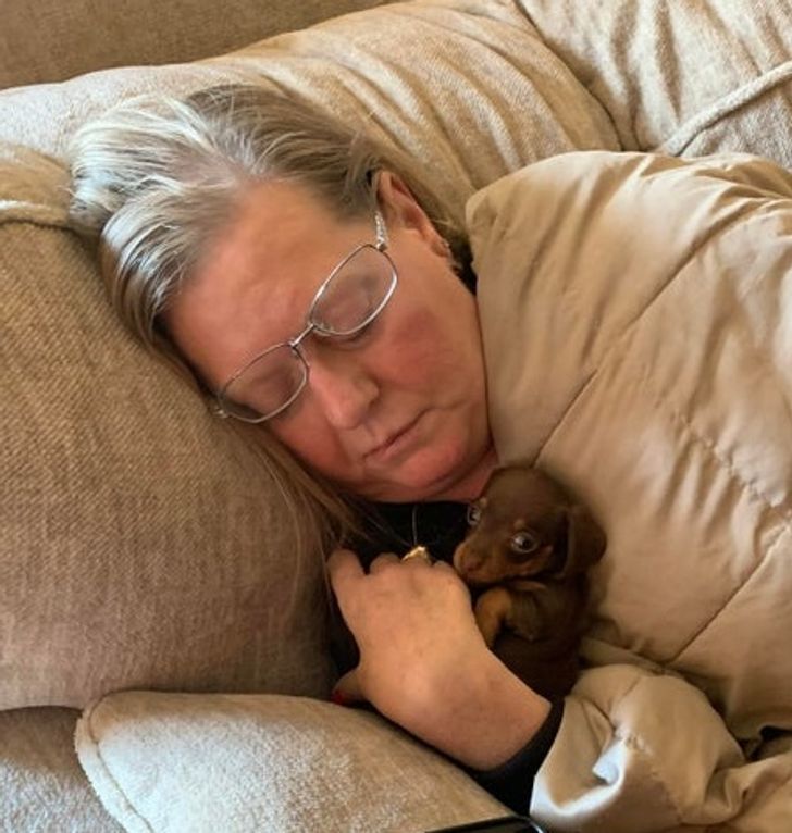 9f452a52229493d496d0d12995