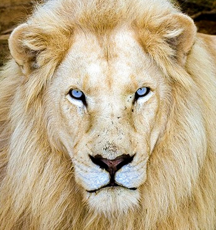 9f4ac05881b2b9f139fc2f0eab