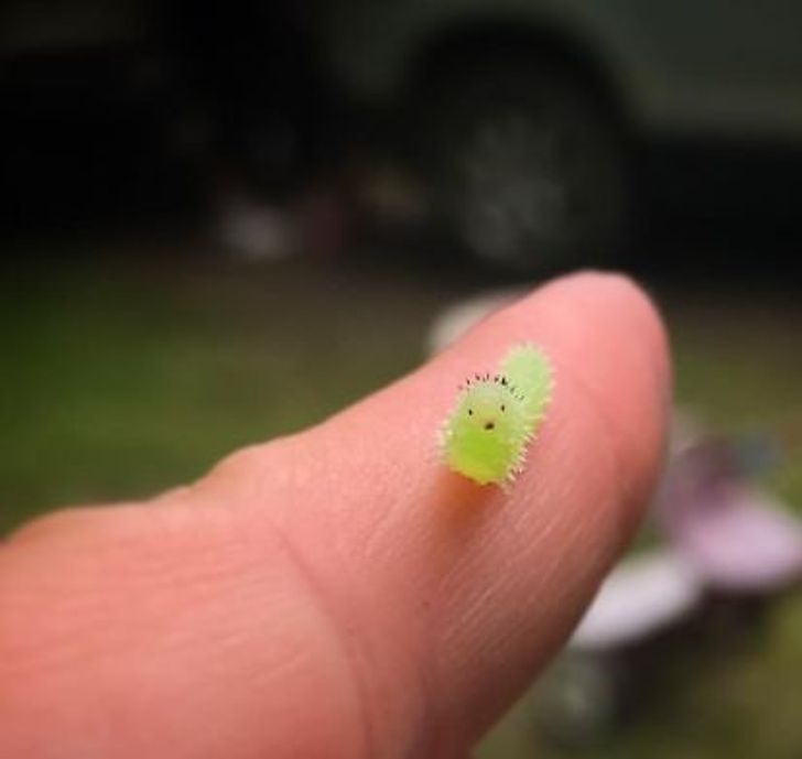 9f4ca252f9a024b16670c97744