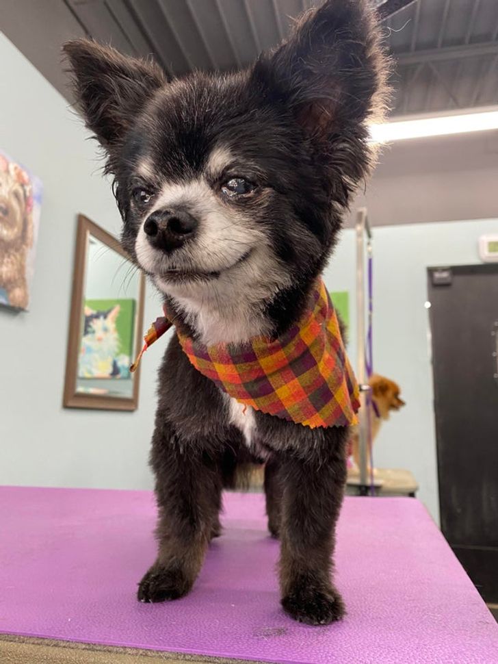 9f4cc259dab30275417a5123e1 9f4cc259dab30275417a5123e1