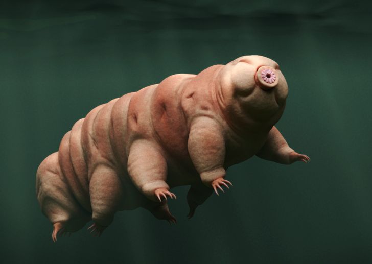 9f51d45c4fad2023918872c2cb