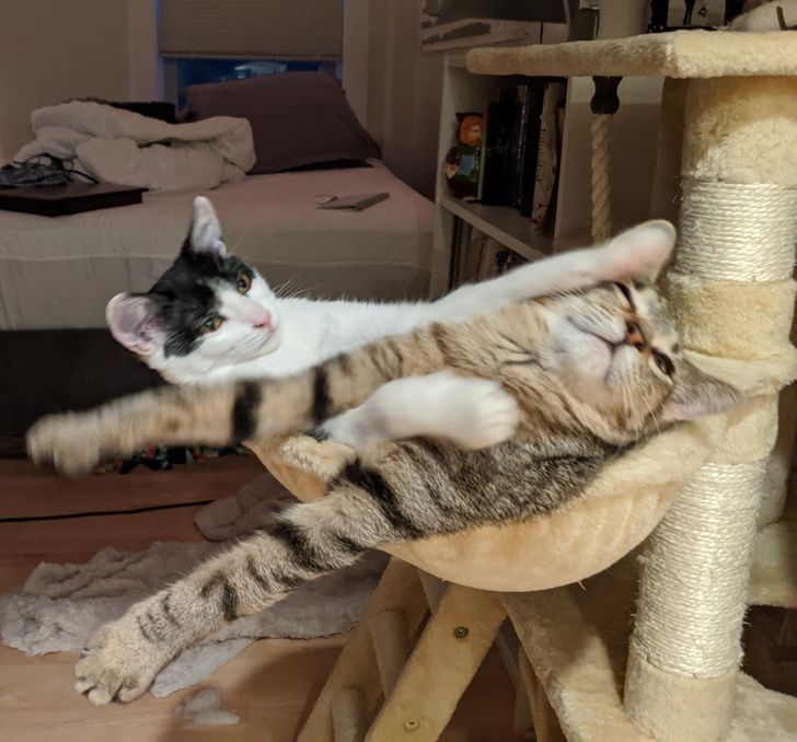 9f55505119bc9ce3b6140e22b0