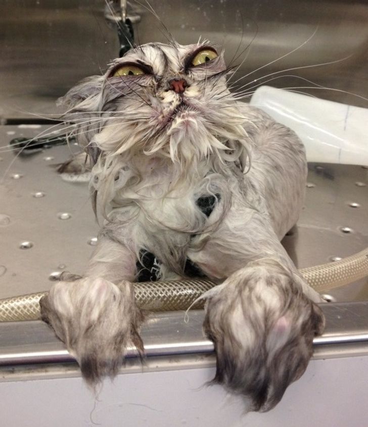 9f56415a8caba3cb676984c139