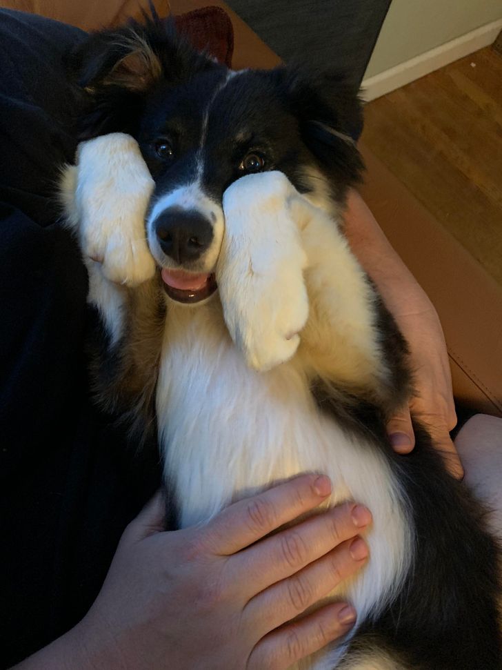 9f578f526f859bbe9333a068a1