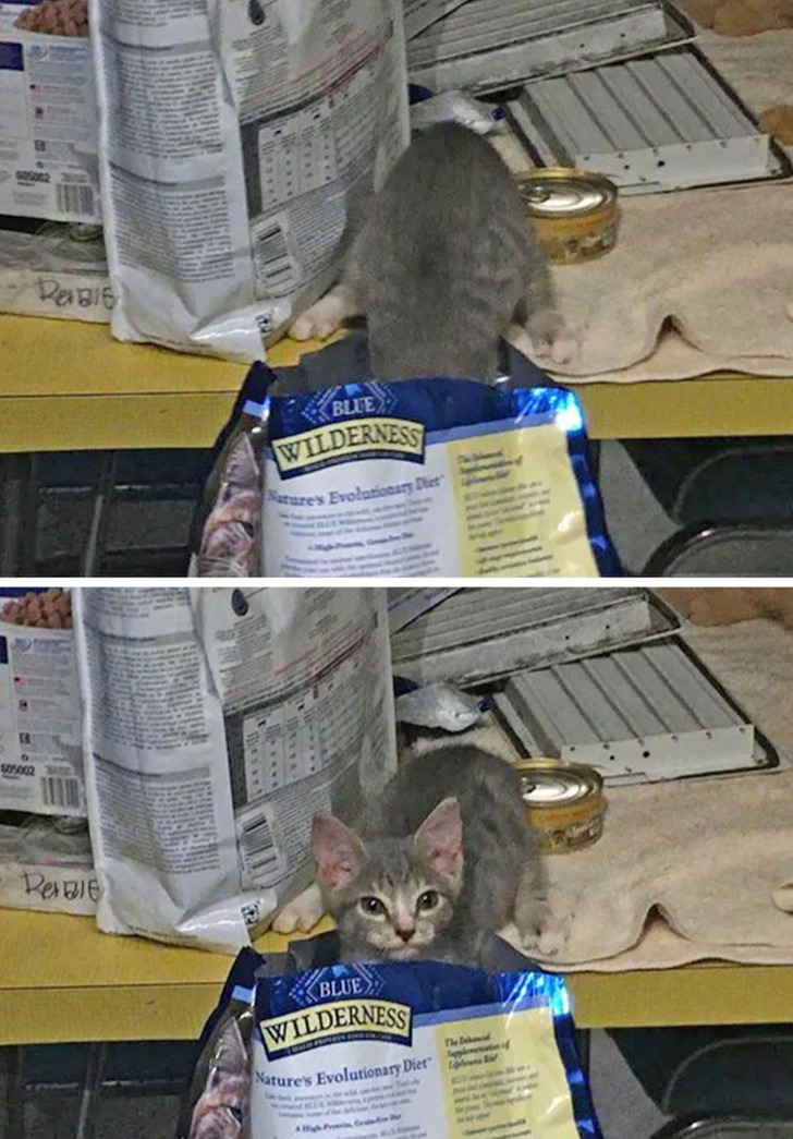 9f5cd75f598de0640a583cfcf4