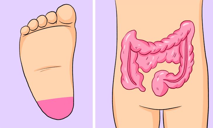 9f605c52c9a1d053966bdfe4ef 9f605c52c9a1d053966bdfe4ef