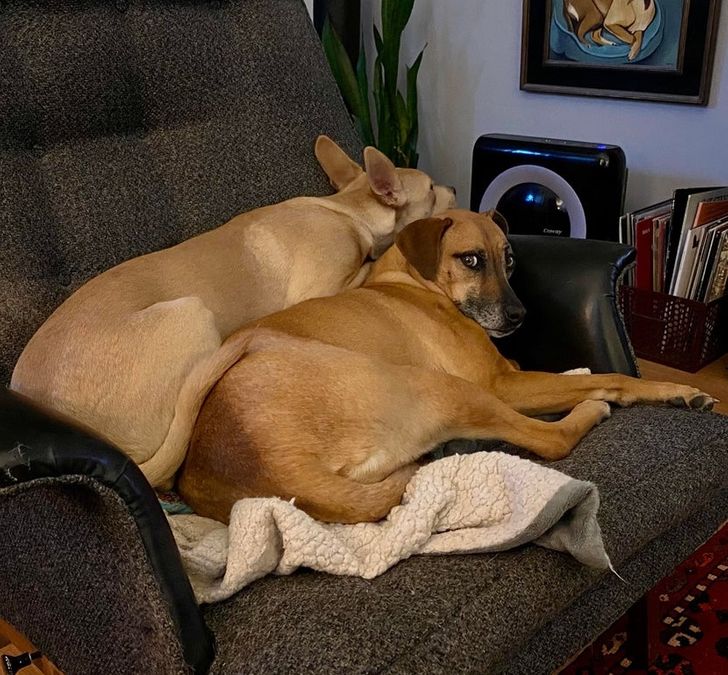 9f614d53f8b5d23ba4278d1820