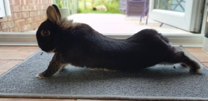 9f6aaa5d218caf4b7c35eaea7d