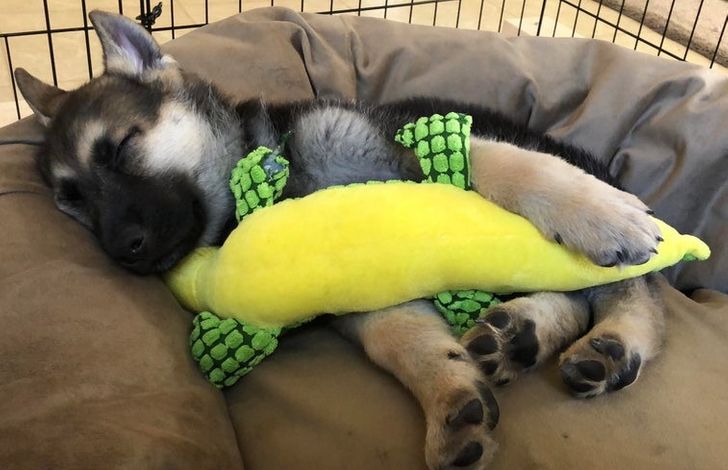 9f6d50541e990bbe06e5ab6422