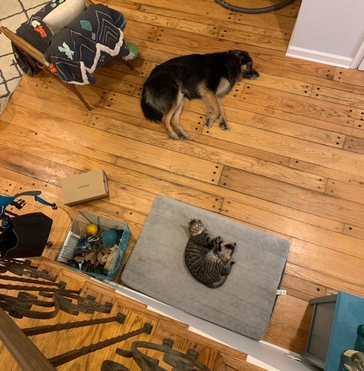 9f6e515f0c8a8935b447158cd7