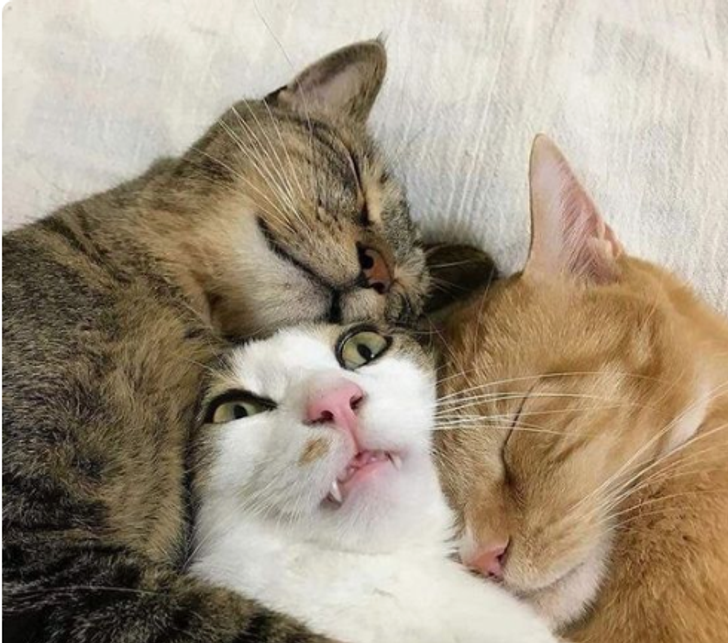 9f6e8052e199097a1a4bb0bc22 9f6e8052e199097a1a4bb0bc22