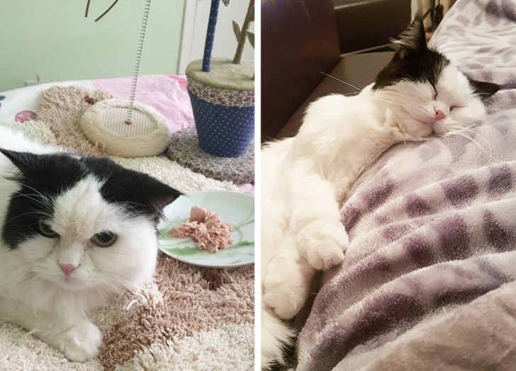 9f71af5dcf878fd4f08935a385