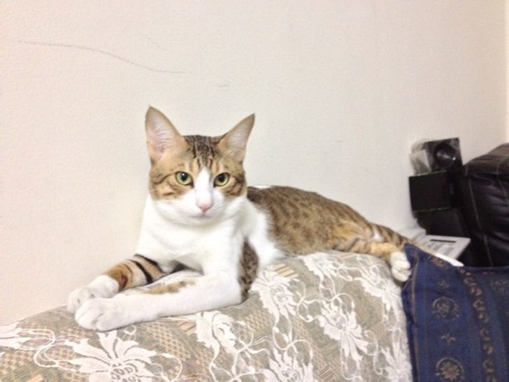 9f75eb554fa22f3709e4d7c424