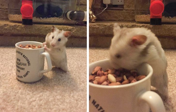 9f76cf5bd4beb9aa771ea1120c