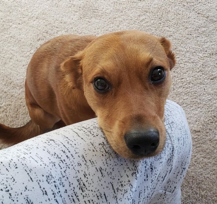 9f7c255daabe37e64d29d6ac88