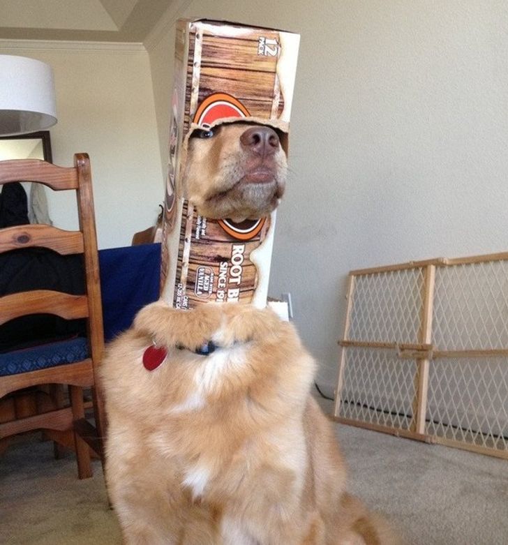 9f7d3352da9ad52ae5a4087e8c