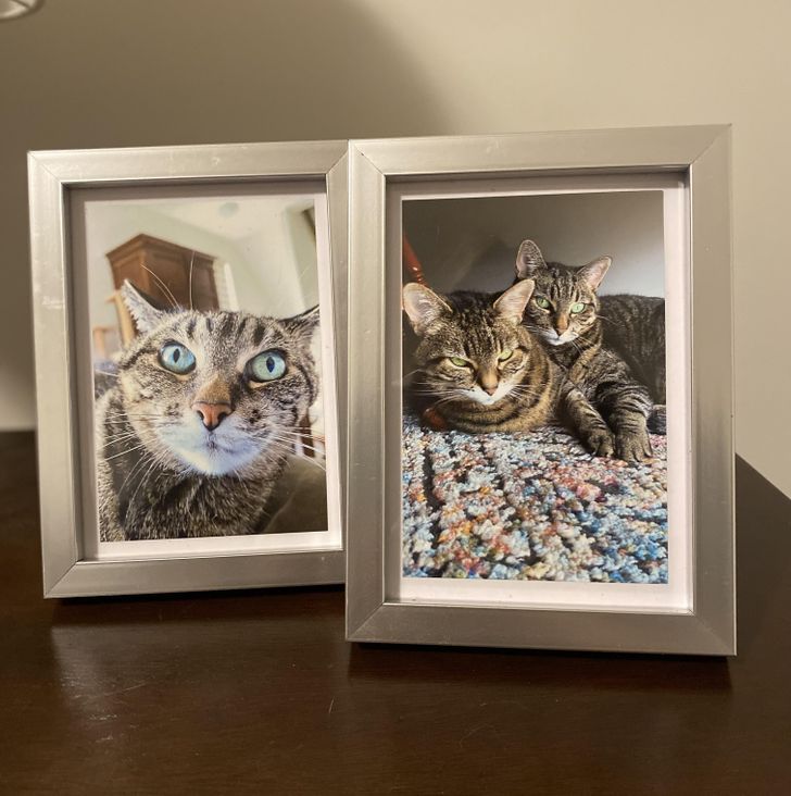 9f85a75e8e8545e76631c0ba7d