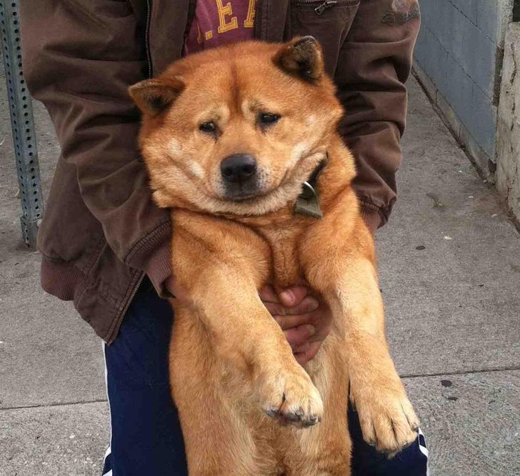 9f87aa50adb822255b7868b849