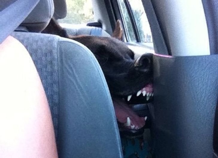 9f902b5e5ab509725df883347d