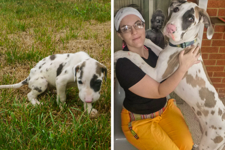 9fa4da55fc83a0276523f6b8c3