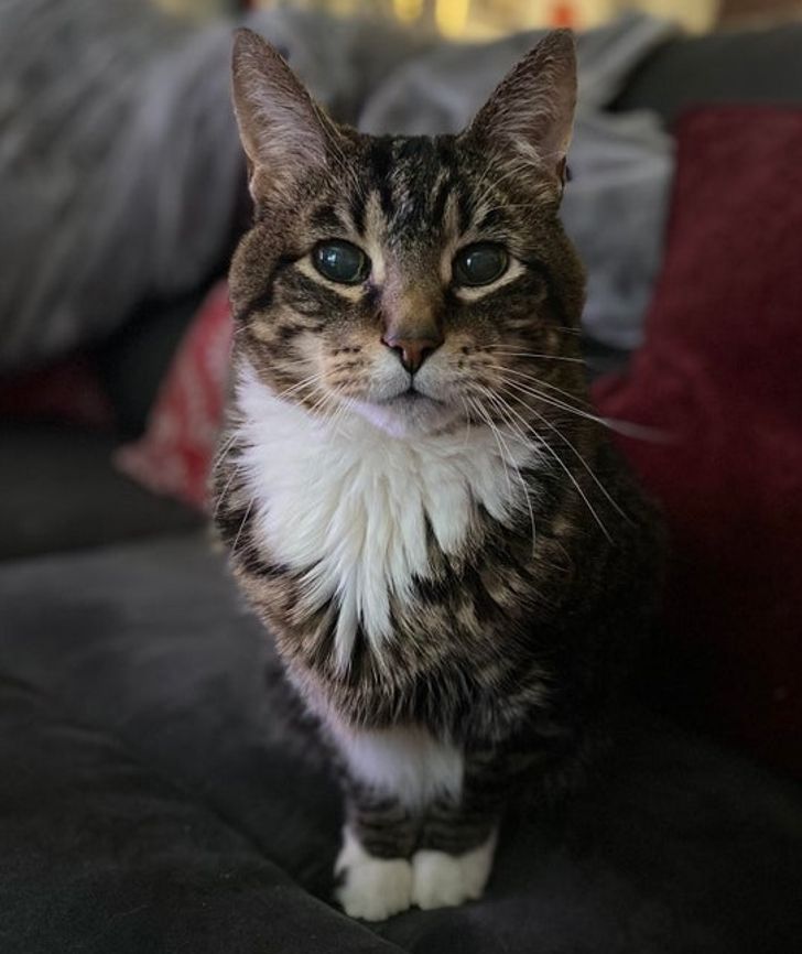 9fb1dc5501961eda0d50b0c49e