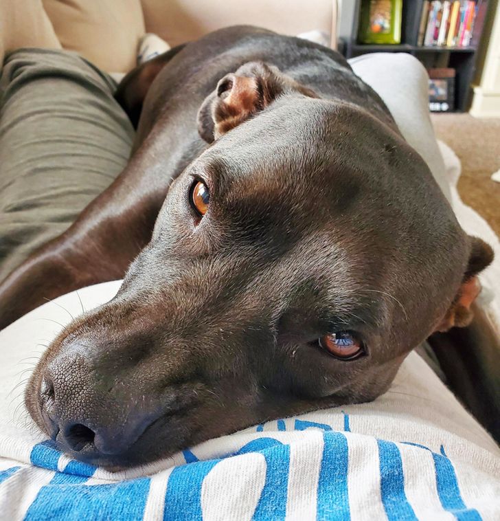 9fbfb7505593b95c97f7292642