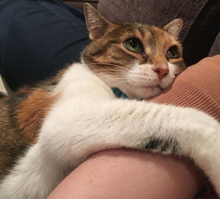 9fc8f25b018160aa657ea838b2