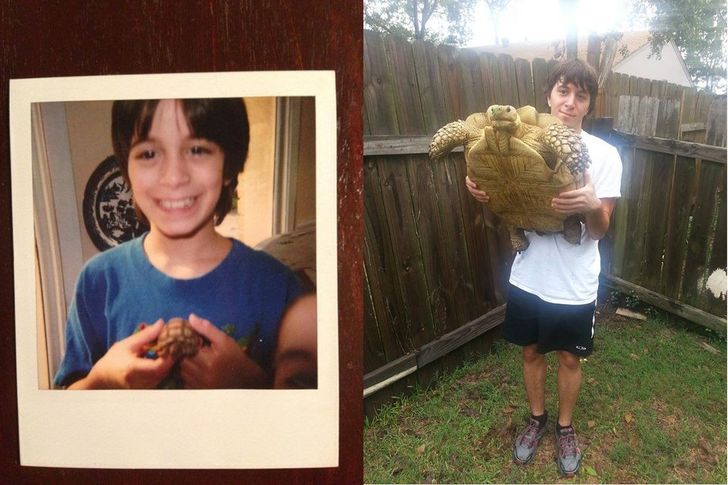 9fce405ea18d23359735d9e511