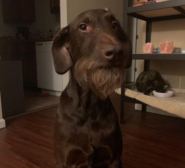 9fcead5573ae42b06cc54f9977