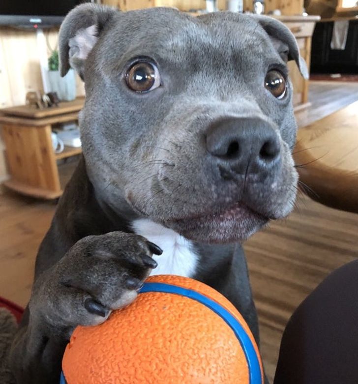 9fceb554de82e790c88d1e6745