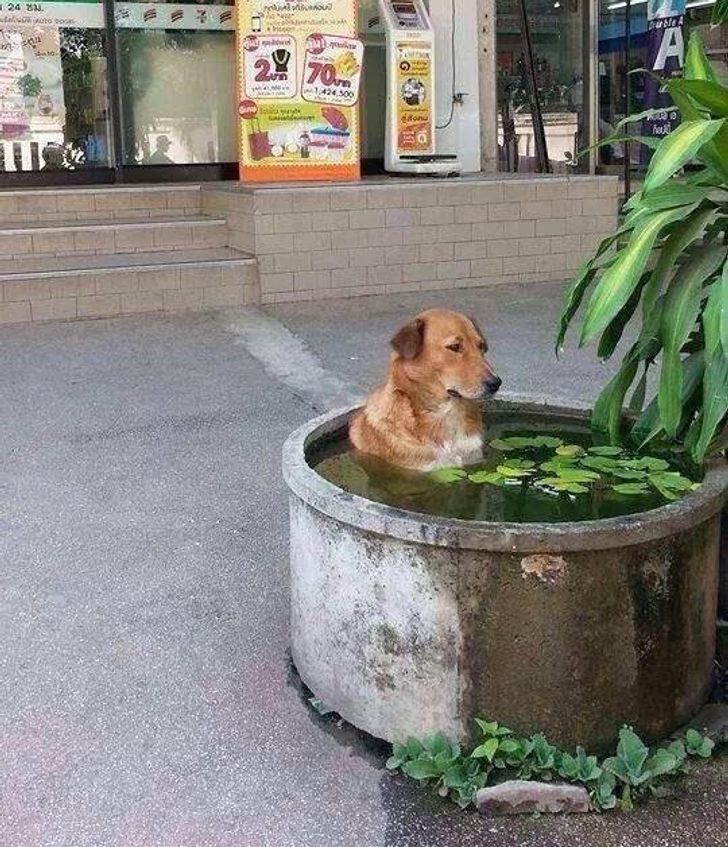 9fd0585b669cd5133178a60229