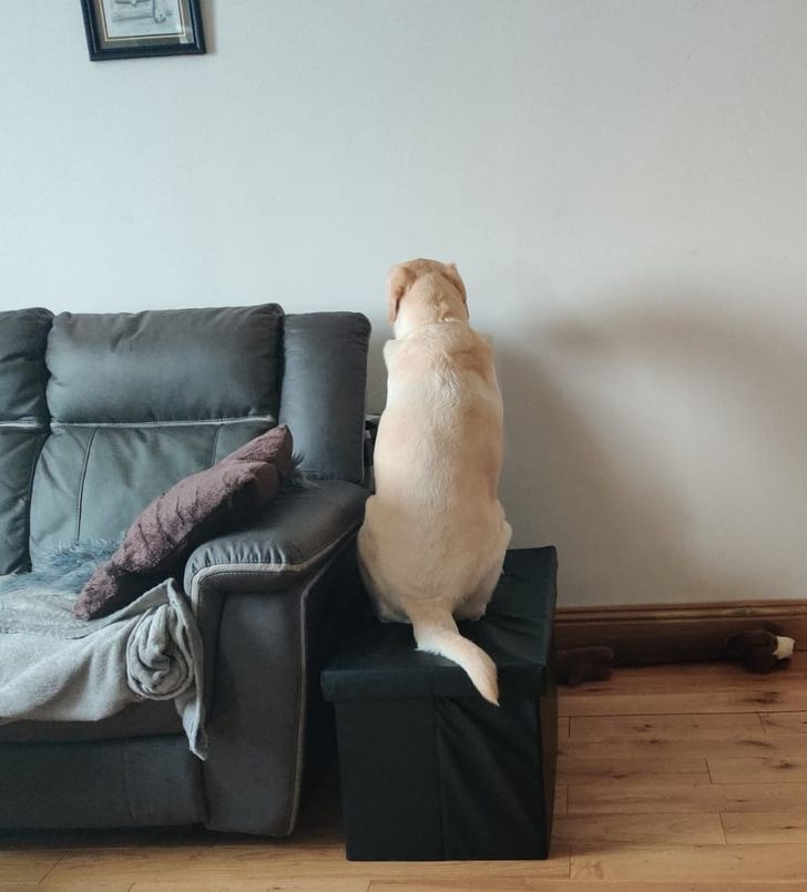 9fd5c155fb985b19bb2679998e