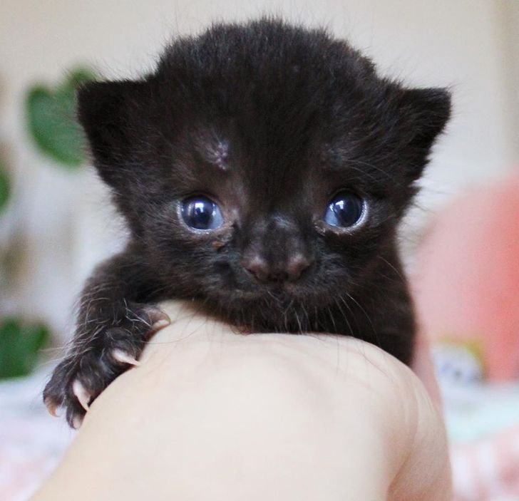 9fda385bd8a9b994f810078df1