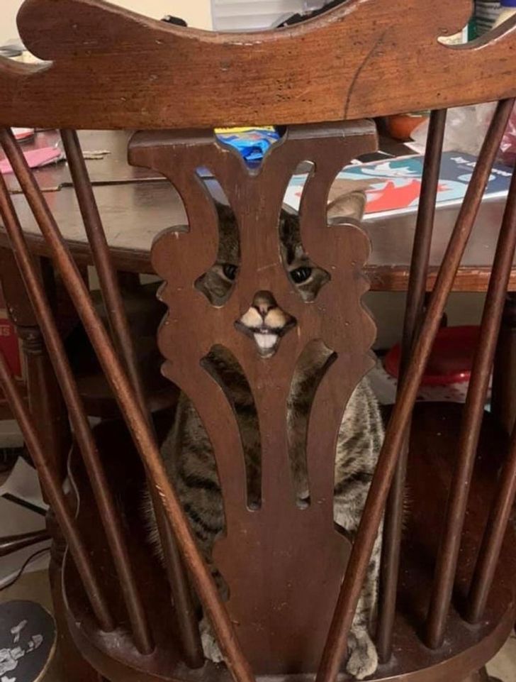 9fdcaf56d2b9458ad189e43f13