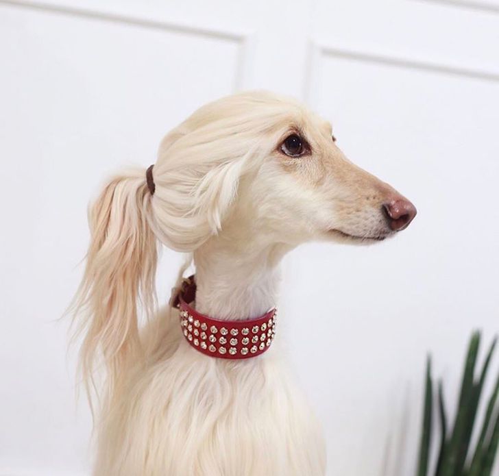 9fdcdb587b82f09ec84d1da480