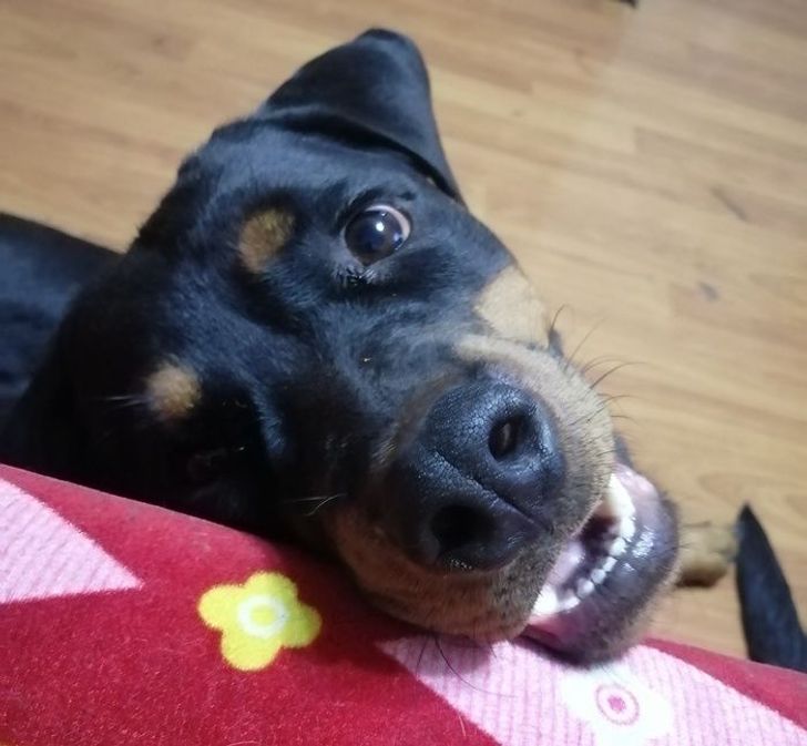 9fe10556ef98c202dfbe6b55e7