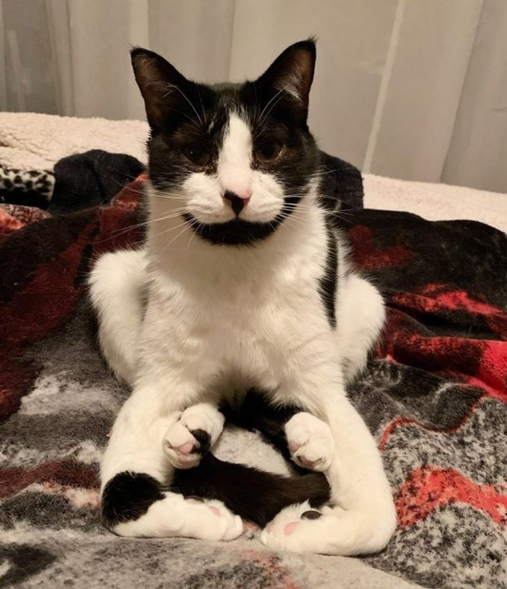 9fe5a250ab964685102beba7bf