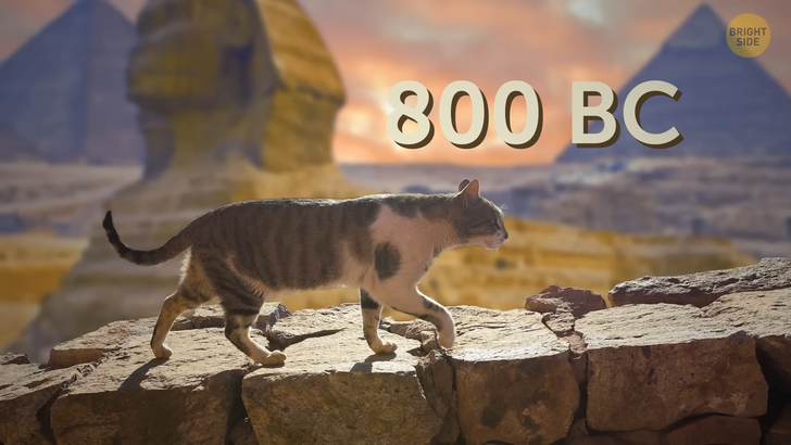 9fe86655ddb15bcda941150184